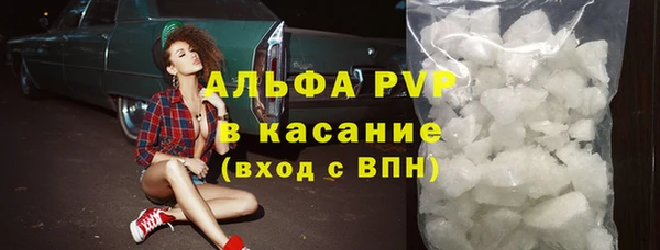 PSILOCYBIN Покачи
