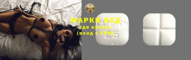 PSILOCYBIN Покачи
