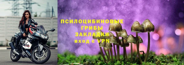 PSILOCYBIN Покачи